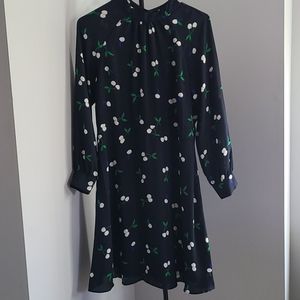 Banana Republic Dress